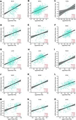 Pan-Cancer Analysis Identified Homologous Recombination Factor With OB-Fold (HROB) as a Potential Biomarker for Various Tumor Types